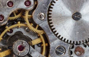 Zegar aktywności narządów wewnętrznych człowieka - Precyzyjny mechanizm cyklu dobowego