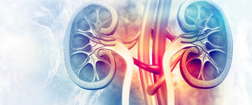 Grafika ilustrująca: Jak wspierać nerki. Ujęcie holistyczne.